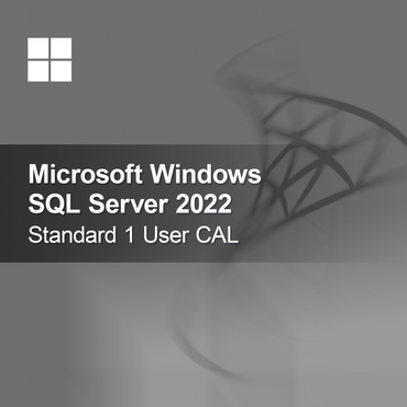 Microsoft SQL Server 2022 Standard 1 käyttäjän CAL